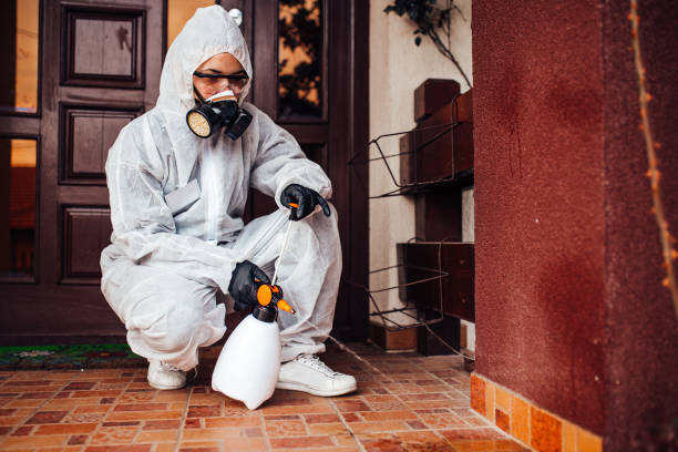 Reliable Cockroach Control contractor in Bridgeton, MO by Nex Pest Control